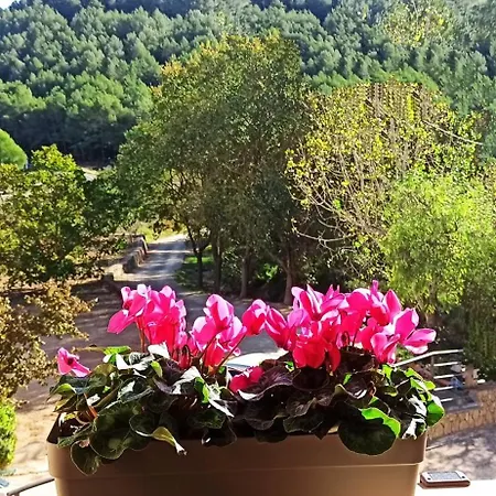 Tatil Evi Ca La Silvia Masboquera *
